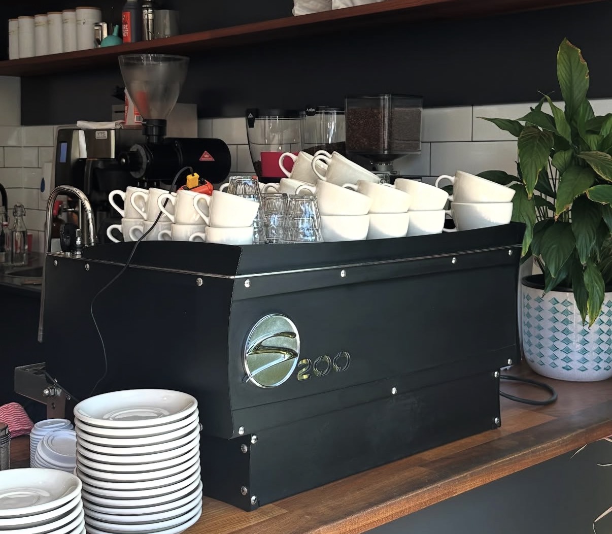 Synesso